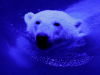 Автор: REUTERS/SCANPIX