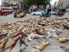 Автор: REUTERS/SCANPIX