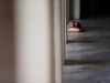 Автор: REUTERS/SCANPIX