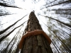 Автор: REUTERS/SCANPIX