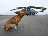 Автор: REUTERS/SCANPIX