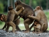 Автор: AFP/SCANPIX