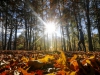 Автор: REUTERS/SCANPIX