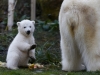 Автор: REUTERS/SCANPIX