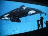 Автор: REUTERS/SCANPIX