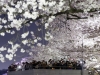 Автор: REUTERS/SCANPIX