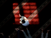 Автор: REUTERS/SCANPIX