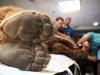Автор: REUTERS/SCANPIX