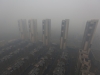Автор: REUTERS/SCANPIX