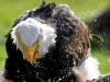 Автор: AFP/SCANPIX
