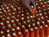 Автор: REUTERS/SCANPIX