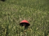 Автор: REUTERS/SCANPIX