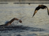 Автор: REUTERS/SCANPIX
