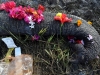 Автор: REUTERS/SCANPIX