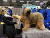 Автор: REUTERS/SCANPIX