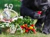Автор: REUTERS/SCANPIX