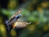 Автор: AFP/SCANPIX