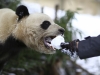 Автор: REUTERS/SCANPIX