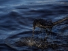 Автор: AFP/SCANPIX