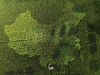 Автор: REUTERS/SCANPIX