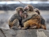 Автор: REUTERS/SCANPIX