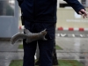 Автор: REUTERS/SCANPIX
