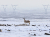 Автор: REUTERS/SCANPIX