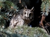 Автор: REUTERS/SCANPIX