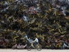 Автор: REUTERS/SCANPIX