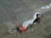 Автор: REUTERS/SCANPIX