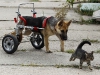 Автор: REUTERS/SCANPIX