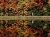 Автор: REUTERS/SCANPIX