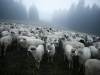 Автор: REUTERS/SCANPIX