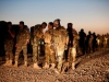 Автор: REUTERS/SCANPIX