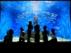 Автор: REUTERS/SCANPIX