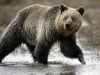 Автор: REUTERS/SCANPIX
