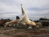 Автор: REUTERS/SCANPIX