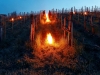 Автор: REUTERS/SCANPIX