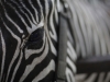 Автор: REUTERS/SCANPIX