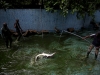 Автор: REUTERS/SCANPIX