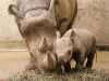 REUTERS/SCANPIX