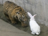 REUTERS/SCANPIX