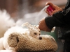 REUTERS/SCANPIX