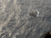 REUTERS/SCANPIX