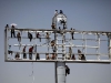 REUTERS/SCANPIX