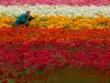 Автор: REUTERS/SCANPIX