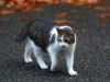Автор: REUTERS/SCANPIX