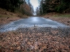 Автор: AFP/SCANPIX
