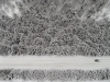 Автор: REUTERS/SCANPIX