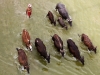 Автор: REUTERS/SCANPIX
